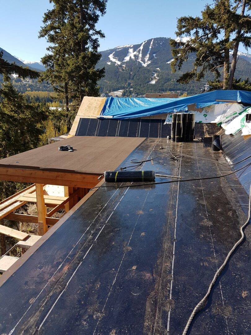 Roofing Companies in Parksville