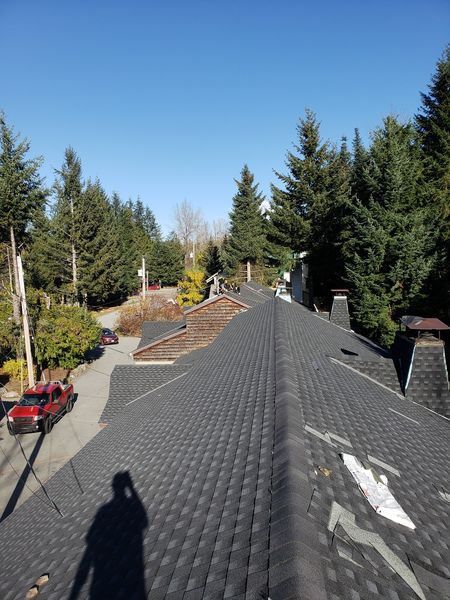 Asphalt Roof Replacement